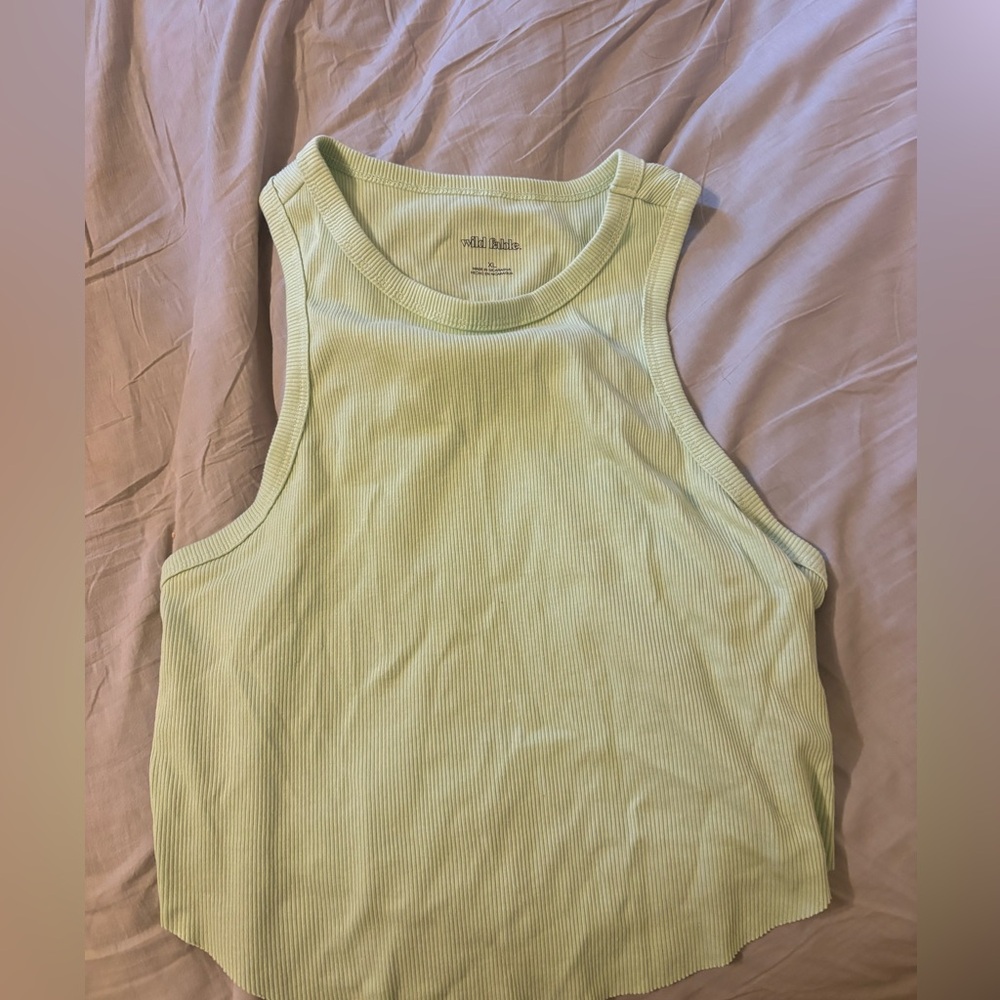 Wild fable crop top